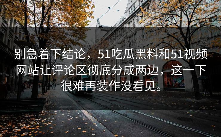 别急着下结论，51吃瓜黑料和51视频网站让评论区彻底分成两边，这一下很难再装作没看见。